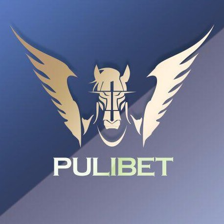 Pulibet Casino